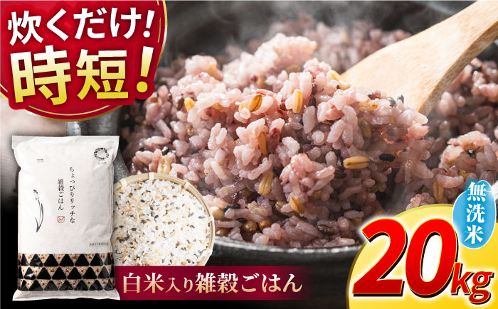 【年内発送は12月24日ご入金分まで！】〈令和7年度新米〉 水研ぎ不要 雑穀ごはん 無洗米 20kg 【株式会社 農産ベストパートナー】 新米 令和7年産 [ZBP153]