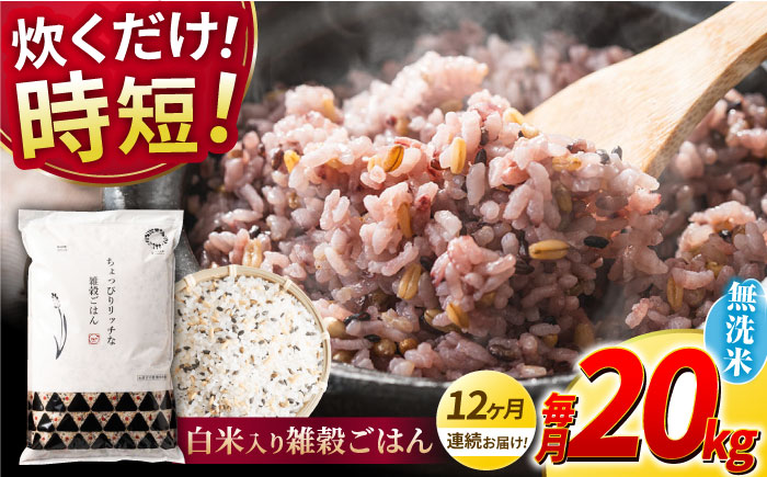 〈令和7年度新米〉 【全12回定期便】水研ぎ不要 雑穀ごはん 無洗米 20kg 【株式会社 農産ベストパートナー】 新米 令和7年産 [ZBP156]