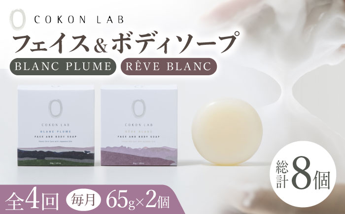 【全4回定期便】COKONLAB フェイス＆ボディソープ BR2個セット【株式会社 あつまるホールディングス NSP山鹿工場】 [ZBR031]