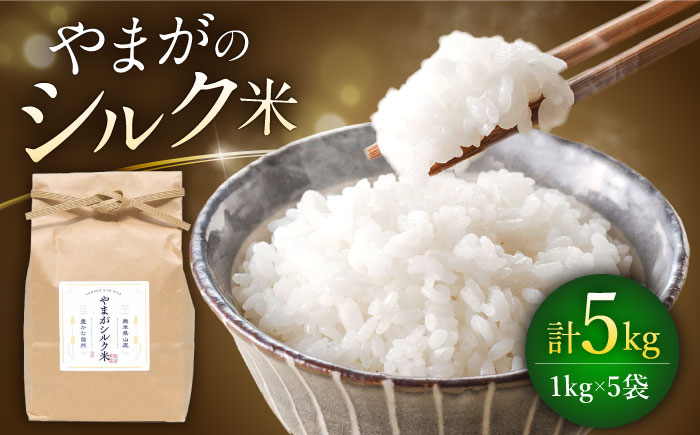 やまがシルク米 1kg×5袋【株式会社 あつまるホールディングス NSP山鹿工場】 [ZBR039]