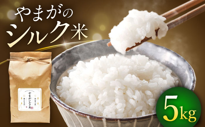 やまがシルク米 5kg【株式会社 あつまるホールディングス NSP山鹿工場】 [ZBR040]