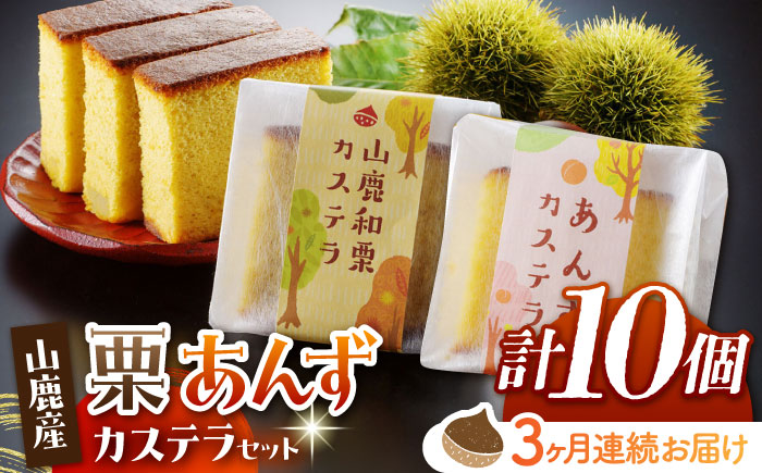 【3回定期便】カステラセット 山鹿和栗 & あんず 計10個 【株式会社あんず】 [ZBT006]