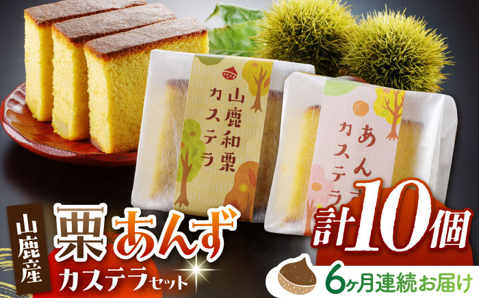 【6回定期便】カステラセット 山鹿和栗 & あんず 計10個 【株式会社あんず】 [ZBT009]