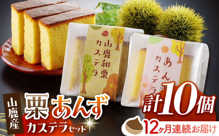 【12回定期便】カステラセット 山鹿和栗 & あんず 計10個 【株式会社あんず】 [ZBT012]