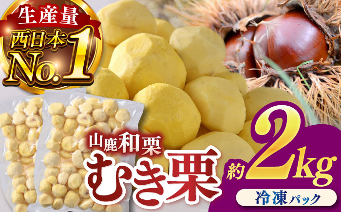 むき栗 約2kg（約1kg×2袋） 【株式会社あんず】 [ZBT015]