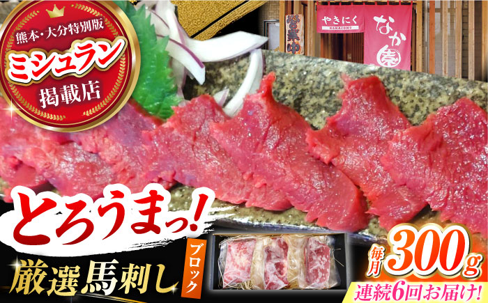 【6回定期便】熊本 馬刺し「なか園」赤身馬刺し 約300ｇ【有限会社スイートサプライなかぞの】 [ZBV072]
