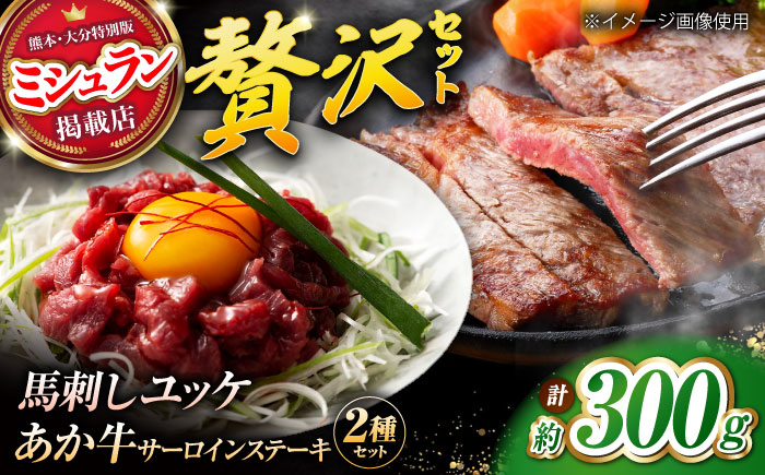 くまもとあか牛サーロインステーキと国産馬刺しユッケ贅沢セット 計約300g【有限会社 スイートサプライなかぞの】 [ZBV093]