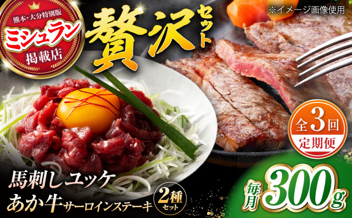 【全3回定期便】くまもとあか牛サーロインステーキと国産馬刺しユッケ贅沢セット 計約300g【有限会社 スイートサプライなかぞの】 [ZBV094]