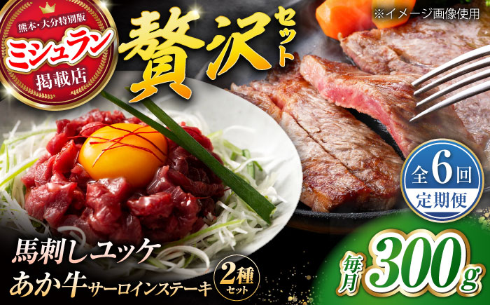 【全6回定期便】くまもとあか牛サーロインステーキと国産馬刺しユッケ贅沢セット 計約300g【有限会社 スイートサプライなかぞの】 [ZBV095]