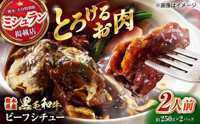 熊本県産 黒毛和牛 こだわりのビーフシチュー 計2パック （約250g×2パック） ビーフシチュー ビーフ シチュー 牛肉 肉 　【有限会社スイートサプライなかぞの】 [ZBV107]