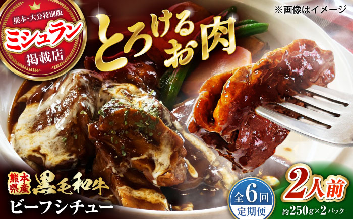 【全6回定期便】 熊本県産 黒毛和牛 こだわりのビーフシチュー 計2パック （約250g×2パック） ビーフシチュー ビーフ シチュー 牛肉 肉 　【有限会社スイートサプライなかぞの】 [ZBV109]
