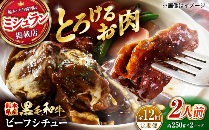 【全12回定期便】 熊本県産 黒毛和牛 こだわりのビーフシチュー 計2パック （約250g×2パック） ビーフシチュー ビーフ シチュー 牛肉 肉 　【有限会社スイートサプライなかぞの】 [ZBV110]