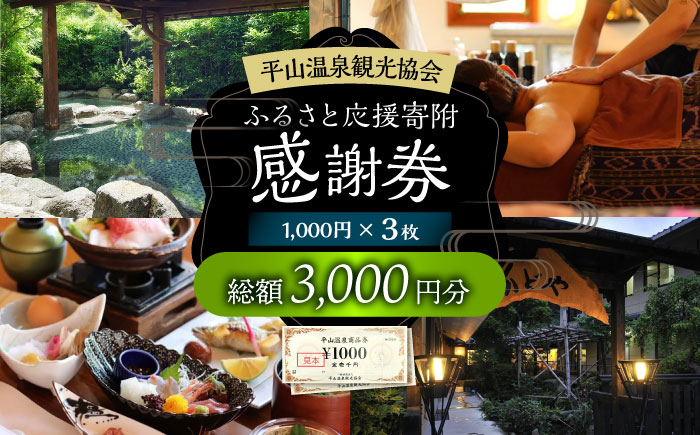 平山温泉 観光協会 ふるさと応援寄附 感謝券 1,000円相当×3枚【一般社団法人 平山温泉観光協会】 [ZBW002]