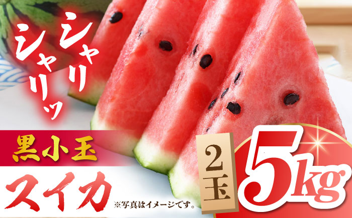 【先行予約】黒小玉 スイカ (ひとりじめ BonBon) 2玉 計約5kg【岡山農園】 [ZBY001]