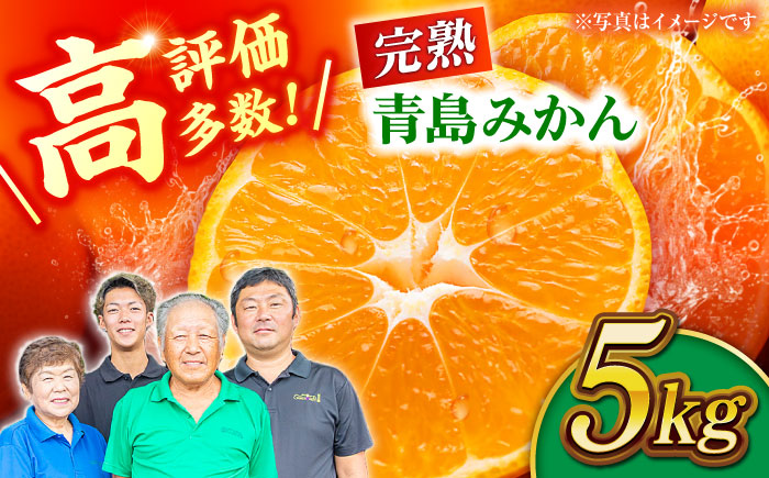 【先行予約】【年内発送は12月21日ご入金分まで！】完熟 青島 みかん 約5kg【合同会社 社方園】 [ZBZ003]