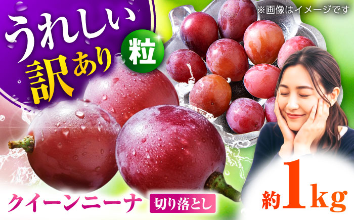 【2026年発送先行予約】訳あり クイーンニーナ ぶどう 切り落とし 約1kg  【合同会社 社方園】果物 赤ぶどう 熊本 ぶどう [ZBZ008]