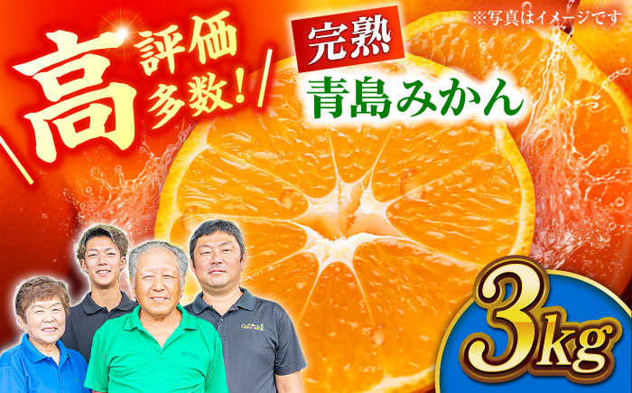 【先行予約】【年内発送は12月21日ご入金分まで！】完熟 青島 みかん 約3kg【合同会社 社方園】 [ZBZ011]