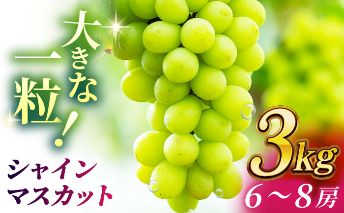 【2026年発送先行予約】シャインマスカット 3kg(6～8房)【合同会社 社方園】 [ZBZ014]