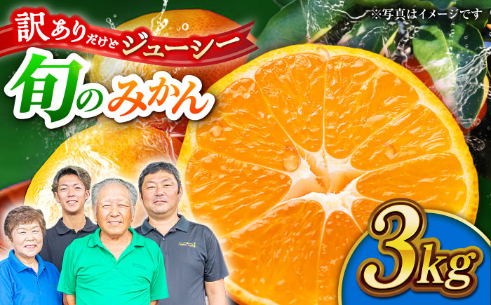 【先行予約】【年内発送は12月21日ご入金分まで！】【訳あり】家庭用 みかん 約3kg 詰め合わせ 柑橘【合同会社 社方園】 [ZBZ020]