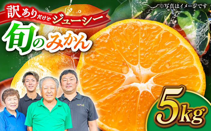【先行予約】【年内発送は12月21日ご入金分まで！】【訳あり】家庭用 みかん 約5kg 詰め合わせ 柑橘【合同会社 社方園】 [ZBZ021]