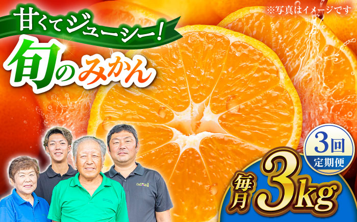 【先行予約】【3回定期便】みかん 約3kg 詰め合わせ 柑橘【合同会社 社方園】 [ZBZ022]