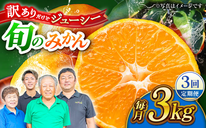 【先行予約】【3回定期便】【訳あり】家庭用 みかん 約3kg 詰め合わせ 柑橘【合同会社 社方園】 [ZBZ023]