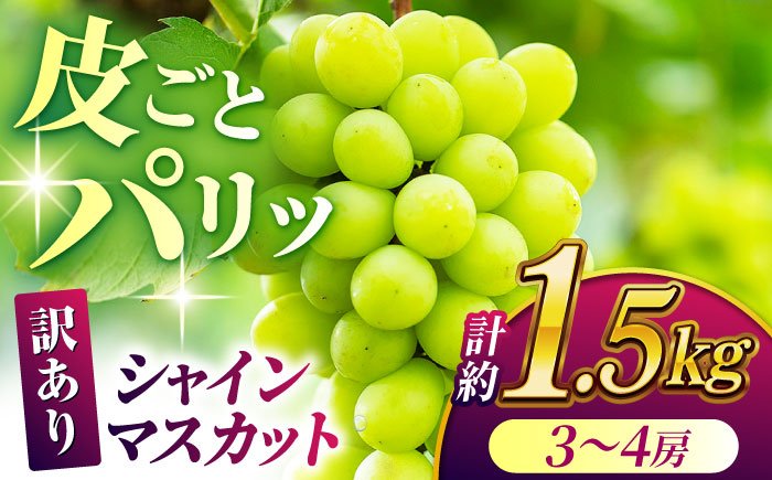 【先行予約】【訳あり】シャインマスカット 約1.5kg(3～4房)【合同会社 社方園】 [ZBZ030]