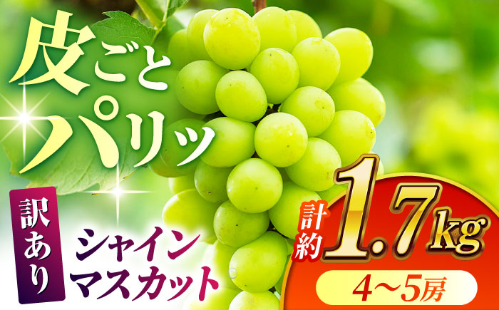 【先行予約】【訳あり】シャインマスカット 約1.7kg(4～5房)【合同会社 社方園】 [ZBZ031]