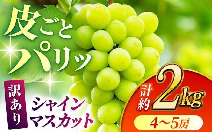 【先行予約】【訳あり】シャインマスカット 約2kg(4～5房)【合同会社 社方園】 [ZBZ032]
