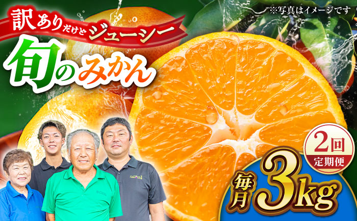 【先行予約】【2回定期便】【訳あり】家庭用 みかん 約3kg 詰め合わせ 柑橘【合同会社 社方園】 [ZBZ033]