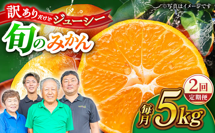 【先行予約】【2回定期便】【訳あり】家庭用 みかん 約5kg 詰め合わせ 柑橘【合同会社 社方園】 [ZBZ034]
