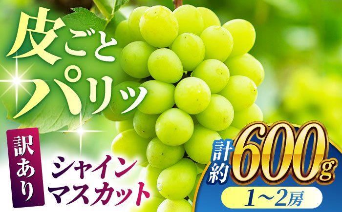 【先行予約】【訳あり】シャインマスカット 約600g(1～2房)【合同会社 社方園】 [ZBZ035]