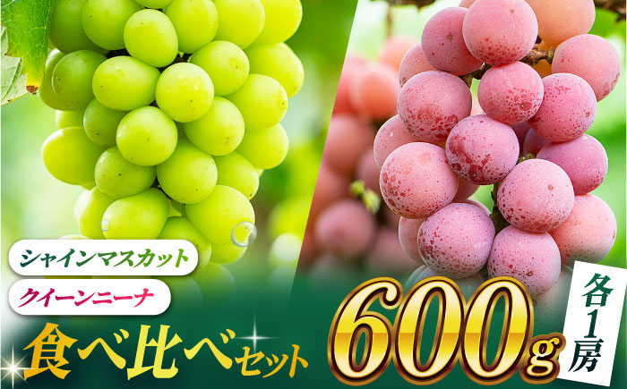 【2026年発送先行予約】食べ比べセット 約600g（シャインマスカット ＆ クイーンニーナ 各一房）【合同会社 社方園】 [ZBZ036]