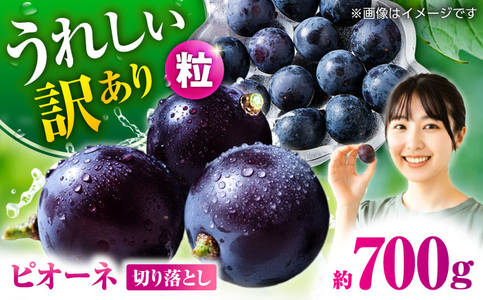 【先行予約】 訳あり ピオーネ ぶどう 切り落とし 約700g  【合同会社 社方園】 [ZBZ037]