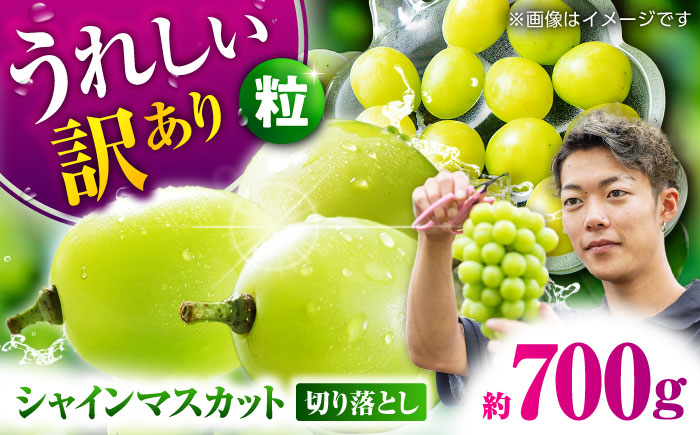 【先行予約】 発送 訳あり シャインマスカット 切り落とし 約700g  【合同会社 社方園】 [ZBZ038]