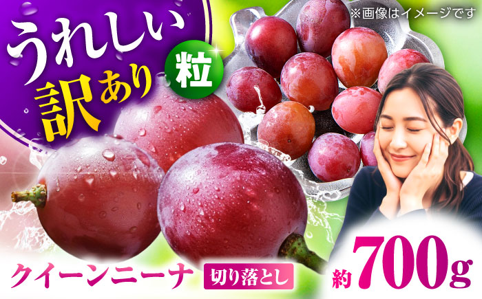 【2026年発送先行予約】訳あり クイーンニーナ ぶどう 切り落とし 約700g  【合同会社 社方園】 [ZBZ039]