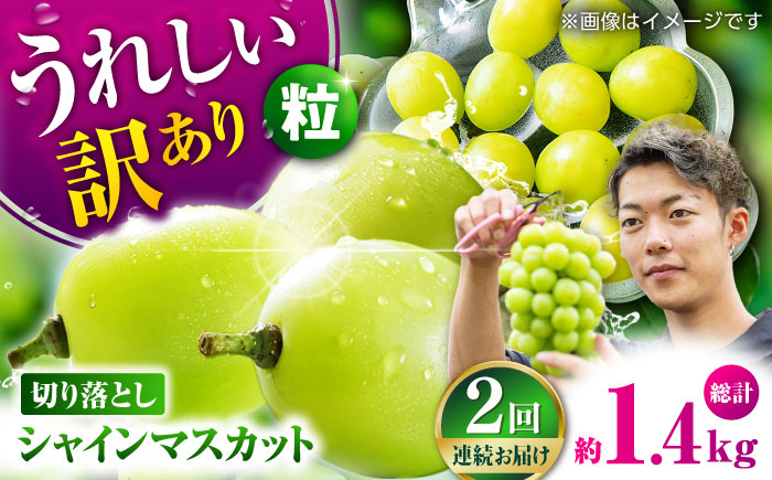 【先行予約】【2回定期便】 訳あり シャインマスカット 切り落とし 約700g  【合同会社 社方園】 [ZBZ043]