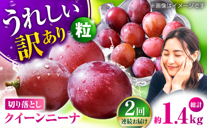 【2026年発送先行予約】【2回定期便】　訳あり クイーンニーナ ぶどう 切り落とし 約700g  【合同会社 社方園】 [ZBZ044]