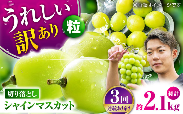 【先行予約】【3回定期便】 訳あり シャインマスカット 切り落とし 約700g  【合同会社 社方園】 [ZBZ046]