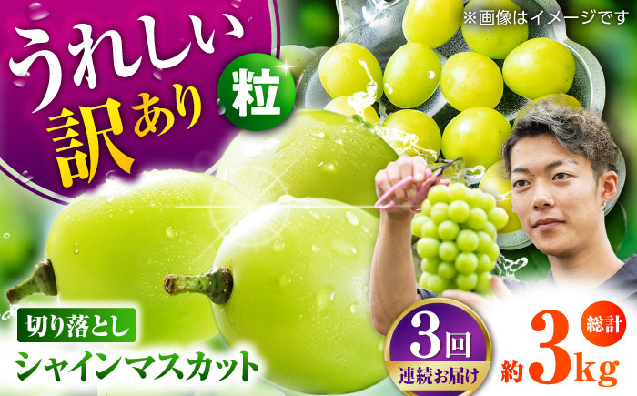 【先行予約】【3回定期便】 訳あり シャインマスカット 切り落とし 約1kg  【合同会社 社方園】 [ZBZ047]