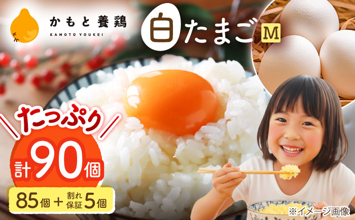 白たまご M玉 90個（85個＋5個割れ保証）【農事組合法人 鹿本養鶏組合】 [ZCA001]