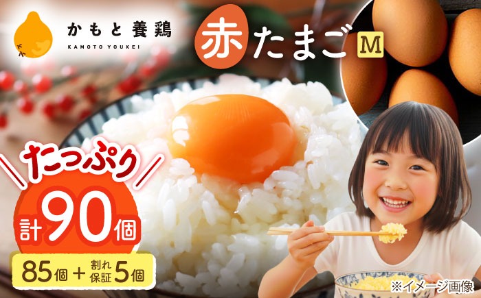 赤たまご M玉 90個（85個＋5個割れ保証）【農事組合法人 鹿本養鶏組合】 [ZCA002]