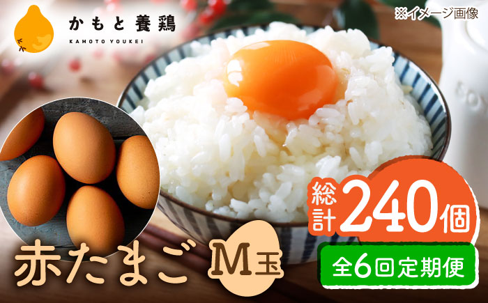【全6回定期便】 【化粧箱入り】赤たまご M玉 40個 (37個＋割れ保証3個)【農事組合法人 鹿本養鶏組合】 [ZCA004]