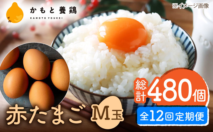 【全12回定期便】 【化粧箱入り】赤たまご M玉 40個 (37個＋割れ保証3個)【農事組合法人 鹿本養鶏組合】 [ZCA005]