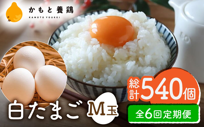 【全6回定期便】白たまご M玉 90個（85個＋5個割れ保証）【農事組合法人 鹿本養鶏組合】 [ZCA007]