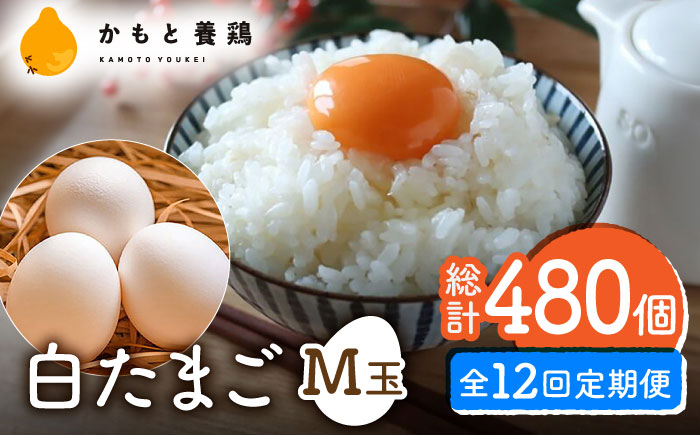 【全12回定期便】【化粧箱入り】白たまご M玉 40個（37個＋3個割れ保証）【農事組合法人 鹿本養鶏組合】 [ZCA012]