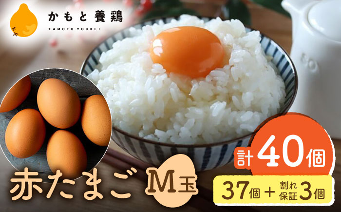 【化粧箱入り】赤たまご M玉 40個（37個＋3個割れ保証）【農事組合法人 鹿本養鶏組合】 [ZCA013]