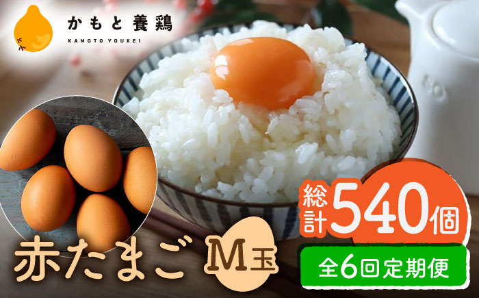 【全6回定期便】赤たまご M玉 90個（85個＋5個割れ保証）【農事組合法人 鹿本養鶏組合】 [ZCA015]