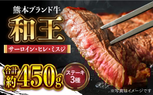 和王 厳選 ステーキ 盛り合わせ【マイライフホールディングス 株式会社 】 [ZCF009]