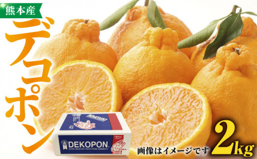 【先行予約】デコポン 約2kg【かきやま果実】 フルーツ 果物 でこぽん 熊本県 柑橘  [ZCJ001]